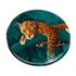 Compact Mirror Cats - Assorted